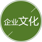 发展历程