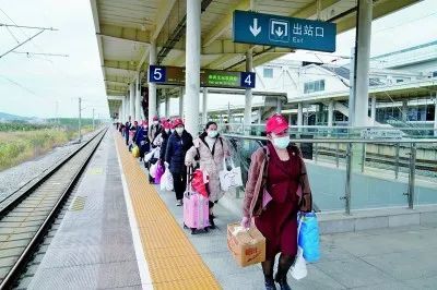 广西壮族自治区人力资源和社会保障厅网站(图3)