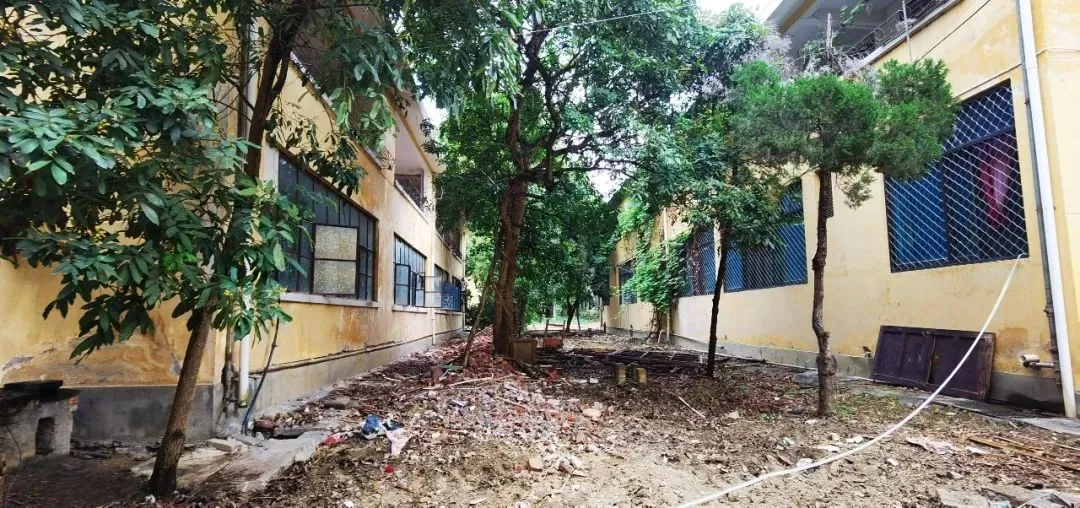 勐赫小镇废墟糖厂变形记：当老糖厂遇见东南亚风情康养秘境(图5)