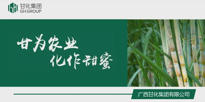 “让甜蜜更美好”：甘化集团的糖业高质量发展密码(图1)