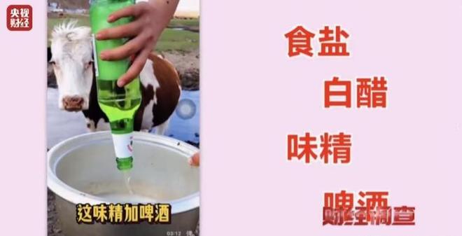 没良心！央媒曝光一切都是假的上千个账号同一个套路坑老百姓(图8)