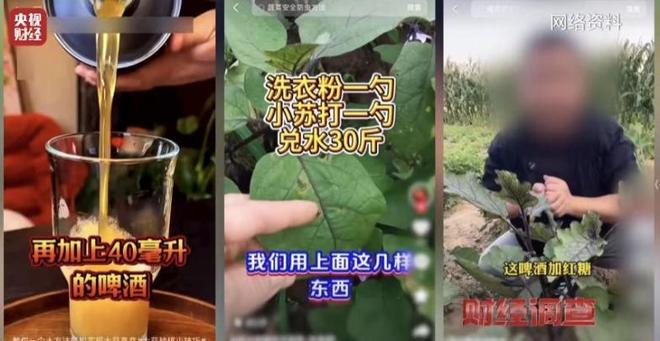 没良心！央媒曝光一切都是假的上千个账号同一个套路坑老百姓(图11)