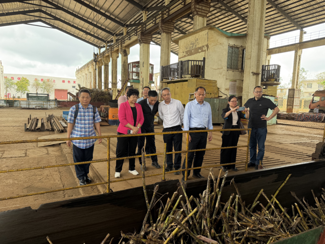 对标先进拓思路 深化合作促发展——自治区农机中心赴广东、海南考察学习(图1)