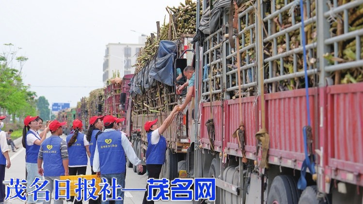 “不能让蔗农的辛苦打水漂” 一个茂名民营制糖企业的“甜蜜”担当(图3)