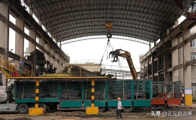 最暖糖厂：厂方亏本收蔗只为助农每天花万元请货车司机吃饭(图7)