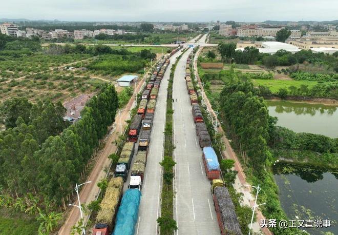 最暖糖厂：厂方亏本收蔗只为助农每天花万元请货车司机吃饭(图9)