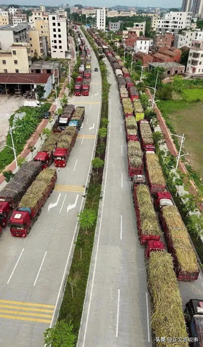 最暖糖厂：厂方亏本收蔗只为助农每天花万元请货车司机吃饭(图8)