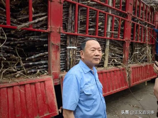 最暖糖厂：厂方亏本收蔗只为助农每天花万元请货车司机吃饭(图3)