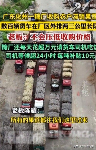 最暖糖厂：厂方亏本收蔗只为助农每天花万元请货车司机吃饭(图19)