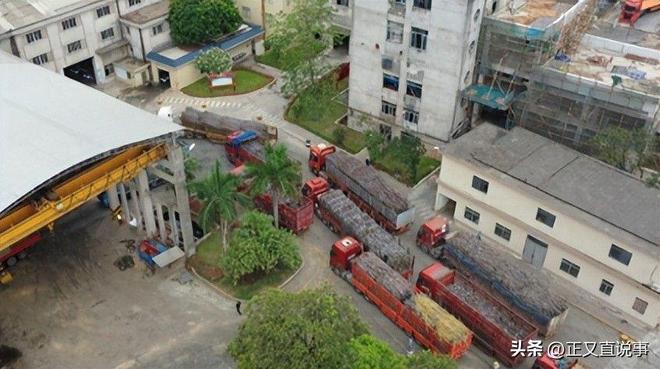 最暖糖厂：厂方亏本收蔗只为助农每天花万元请货车司机吃饭(图17)