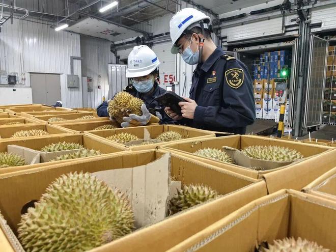 离婚第4天前妻坦白“摆酒前一天跟别人在一起”经鉴定男子养了14年儿子非亲生；男子到朋友家电烤理疗三根脚趾烧焦需截肢｜三农早餐(图3)