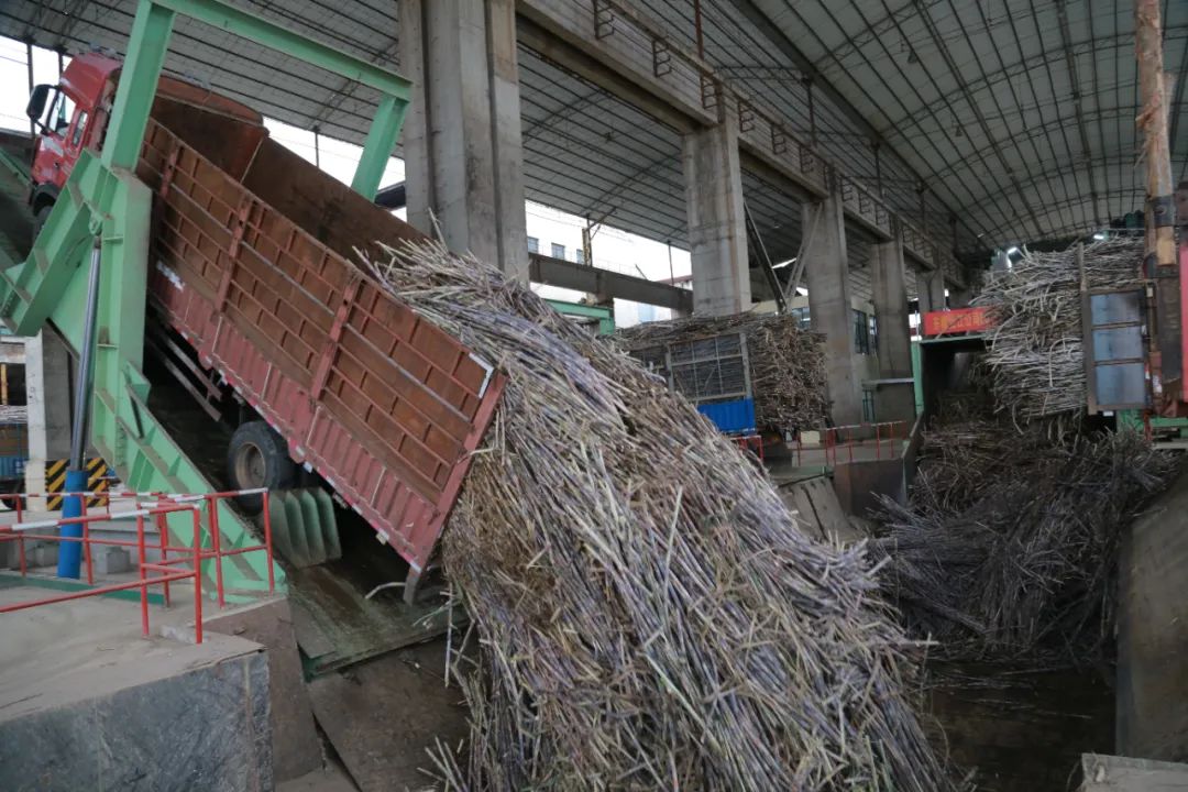 曹建民秘书长携中国老龄网健康行动走基层项目出访广西(图1)