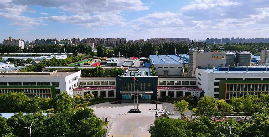 从老味道到新速度 西夏嘉酿解锁转型密码(图2)