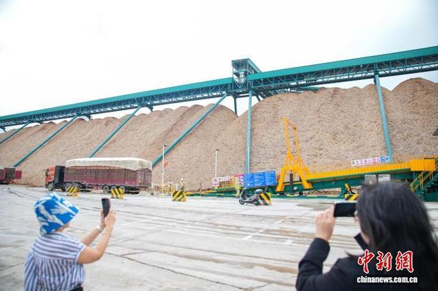 东盟国家媒体代表探广西崇左产业：面向东盟 绿色智能(图2)