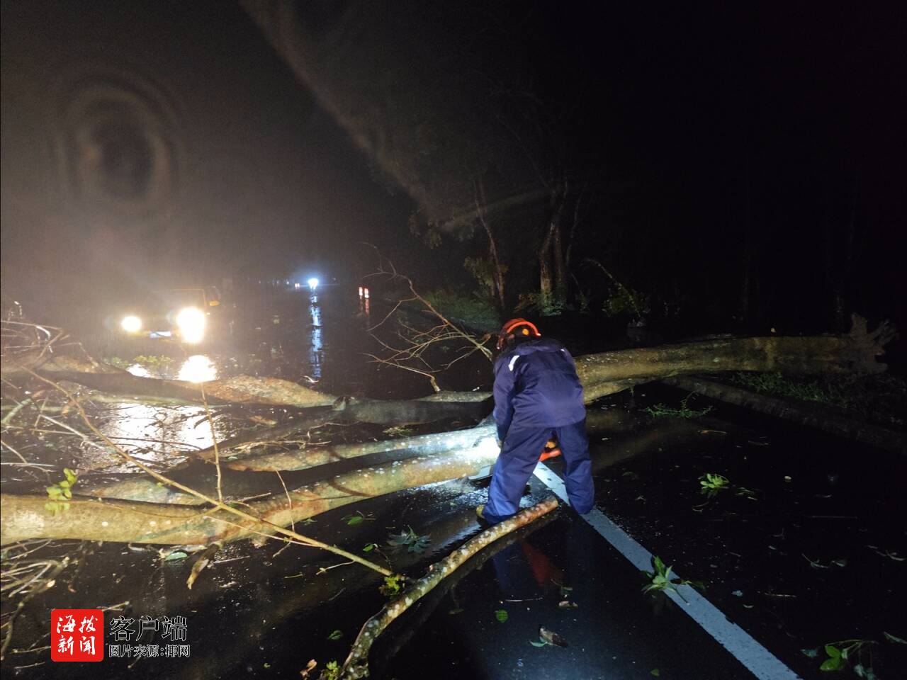 台风“蝴蝶”导致多处树木倒伏白沙消防紧急处置(图1)