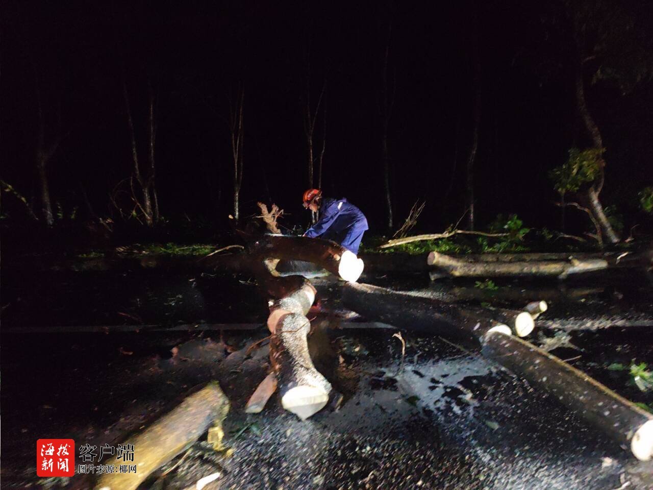 台风“蝴蝶”导致多处树木倒伏白沙消防紧急处置(图3)