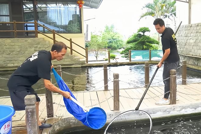 【党建领航(155)】荷塘镇南村村：革命老区村的振兴新图景(图5)