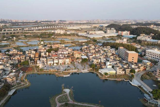 【党建领航(155)】荷塘镇南村村：革命老区村的振兴新图景(图4)