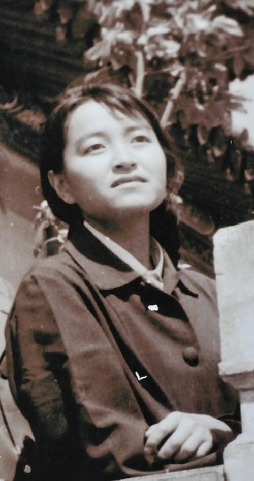 1995年褚映群在洛阳看守所自杀被抓前曾嗅到危机力劝父亲退休(图2)