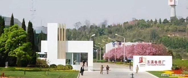 褚时健女儿褚映群自杀于洛阳的真实详情(图6)