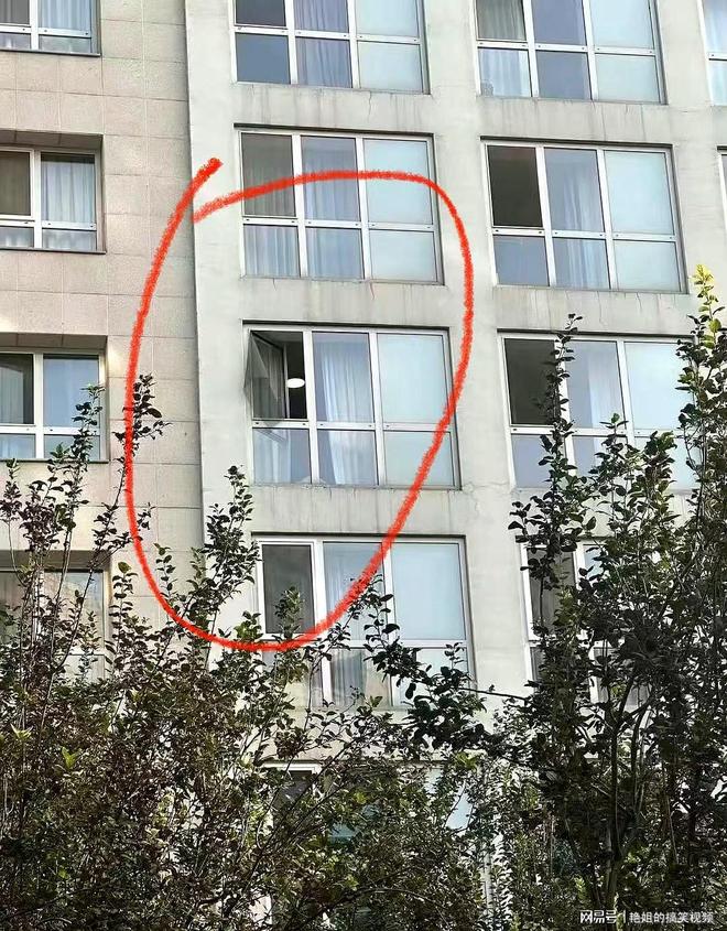 于朦胧去世仅48小时恶心的一幕接连发生多位明星大佬都被牵连(图4)