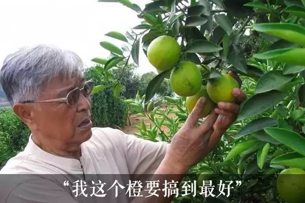牢狱之灾过后他们把低迷的人生活成了大写的“赞“(图4)