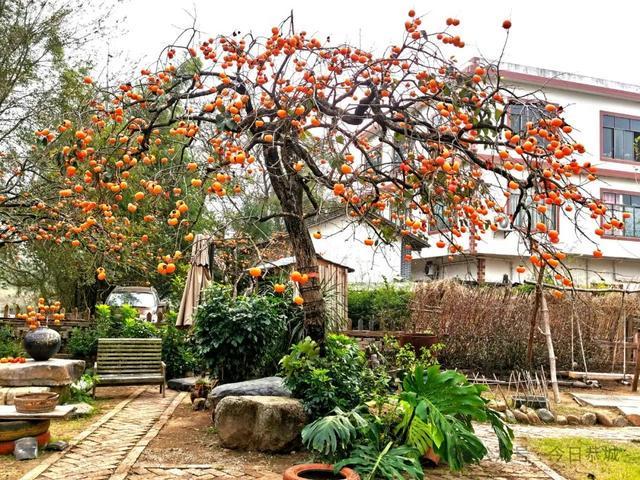 秋游去！广西三条乡村旅游线路获全国推介(图2)