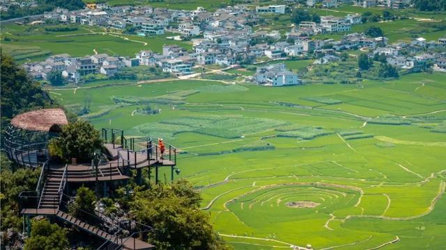 秋游去！广西三条乡村旅游线路获全国推介(图5)