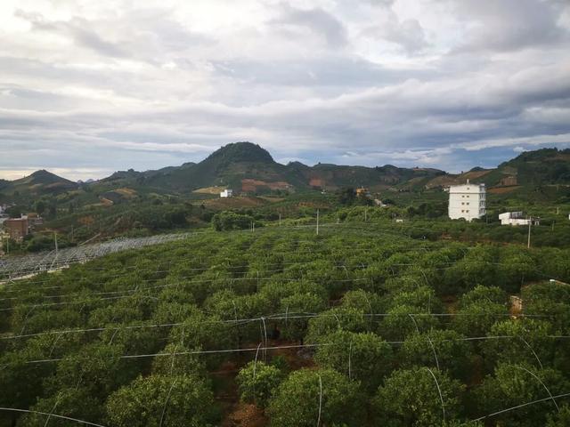 秋游去！广西三条乡村旅游线路获全国推介(图10)