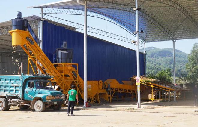 省钱又省力！在柳城种甘蔗舒服了(图3)