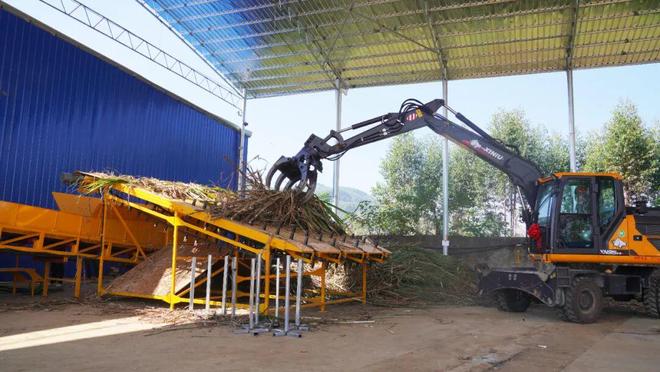 省钱又省力！在柳城种甘蔗舒服了(图2)