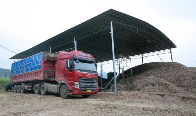 省钱又省力！在柳城种甘蔗舒服了(图6)