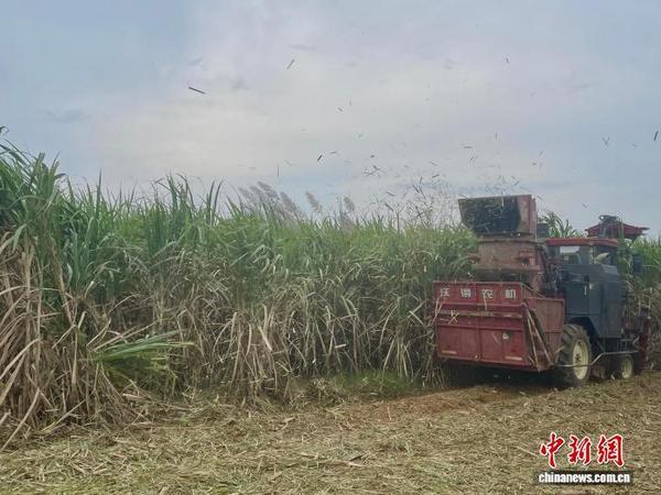 “闲置铁牛”变“网约车” 广西“滴滴农机”惠农增效(图1)