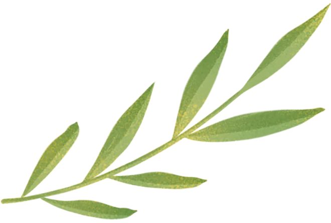 【机收攻坚战】按下甘蔗机收“快进键” 博庆公司多措并举推进机械化收割(图4)