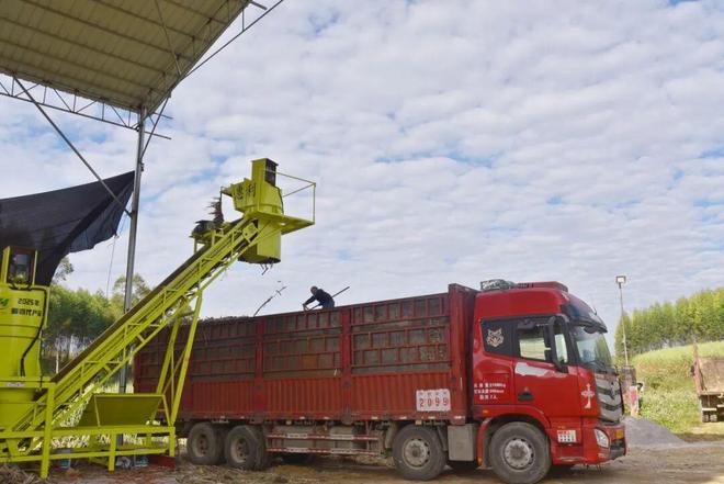 【机收攻坚战】按下甘蔗机收“快进键” 博庆公司多措并举推进机械化收割(图3)
