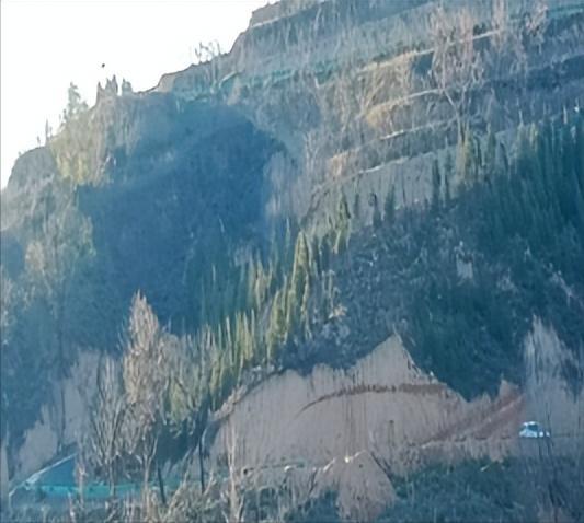 雷军红：不忘来时路(图3)