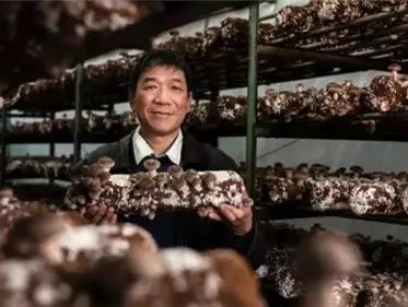 “爱拼才会赢”！福建走出的侨领太了不起！(图7)