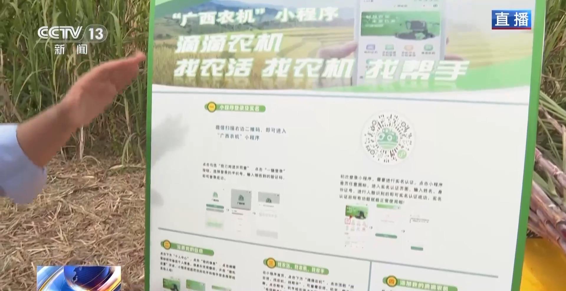 视频丨从“榨糖”到“超级电容” 揭秘广西甘蔗的甜蜜产业链(图2)