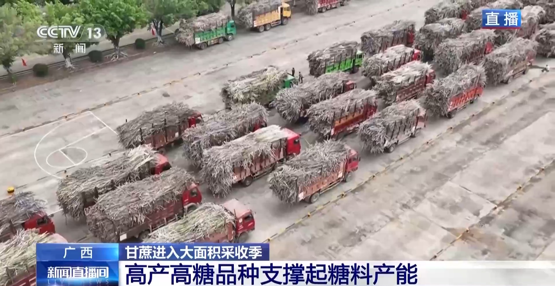 从“榨糖”到“超级电容” 揭秘广西甘蔗的甜蜜产业链(图4)