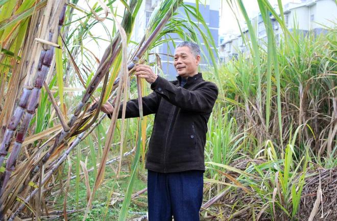 柳城新视角｜从“八桂楷模”卢文祥看“柳城芯”的时代光芒(图3)