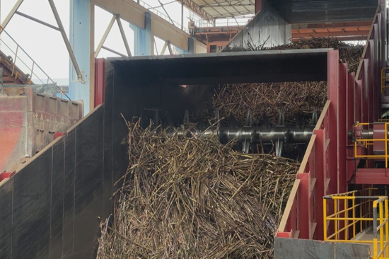 横州：甘蔗榨季开启 “甜蜜事业”提质升级迎丰收(图1)