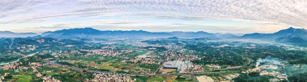 奋勇争先这一年丨长泰陈巷镇：小虫子“吃”出循环农业新产业(图6)