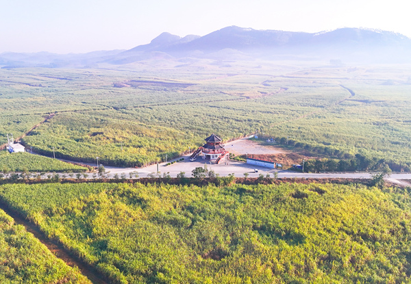 一根甘蔗 “吃干榨尽”(图1)