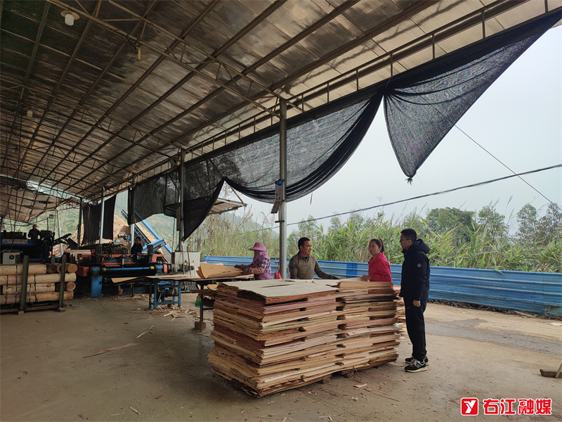 阳圩镇开展元旦节前安全生产大检查 拧紧节日“安全阀”(图2)