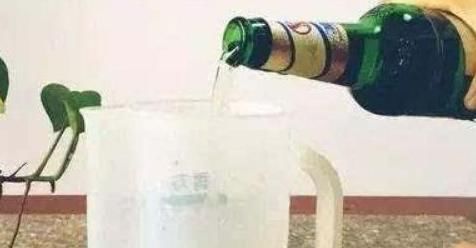 喝酒时不能碰花生米？医生：喝酒尽量少吃这6种“下酒菜”(图1)