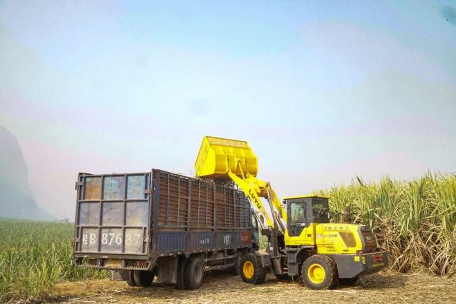 解锁种蔗新姿势！无人机+收割机让“甜蜜”翻倍！(图5)