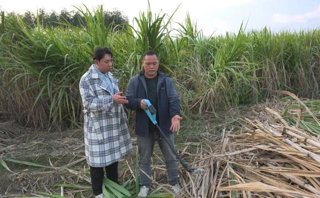 一天收400多吨还这么轻松？这个柳城男人是怎么做到的？(图1)