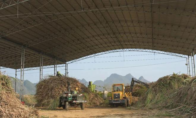 一天收400多吨还这么轻松？这个柳城男人是怎么做到的？(图5)